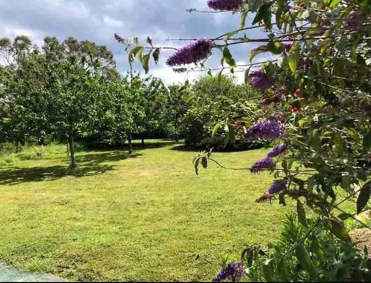 Le Havre De Paix De La Cote De Granit Rose Villa Pleumeur-Bodou Holiday home