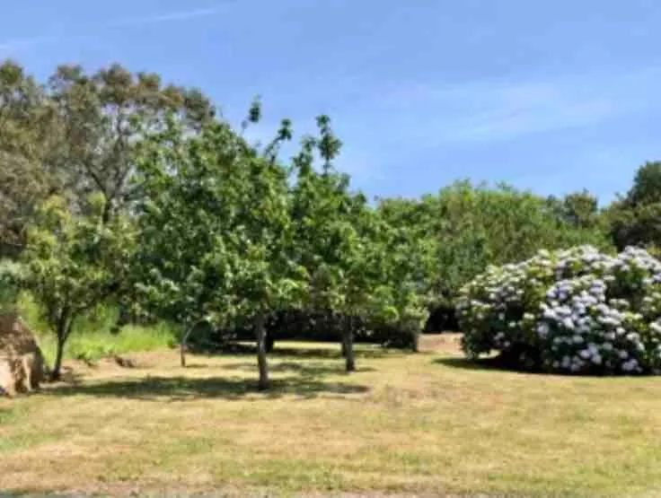 Le Havre De Paix De La Cote De Granit Rose Villa Pleumeur-Bodou